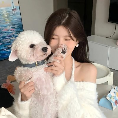 当猪起飞